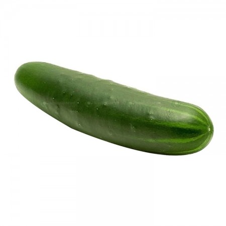 PEPINO COHOMBRO