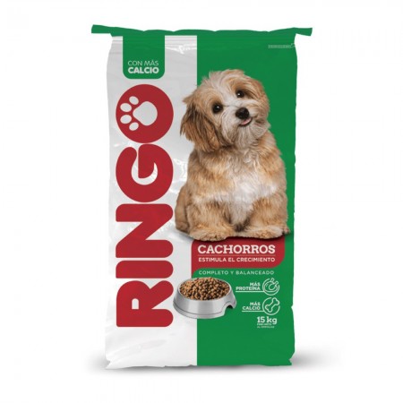 CONCENTRADO PERRO RINGO CACHORRO...
