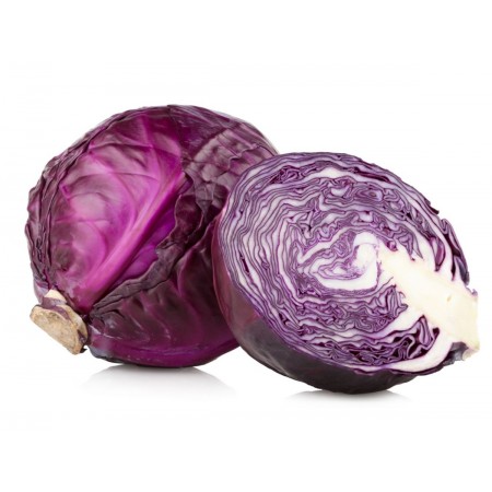 REPOLLO MORADO REPOLLO MORADO
