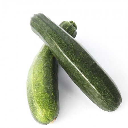 PEPINO ZUKINI PEPINO ZUKINI