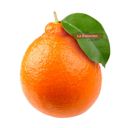 NARANJA TANGELO NARANJA TANGELO
