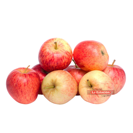 MANZANA GALA