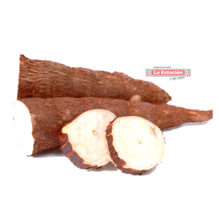 YUCA YUCA
