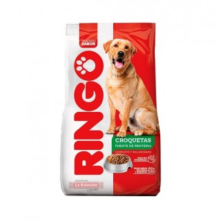 CONCENTRADO PERRO RINGO...