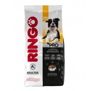 CONCENTRADO PERRO RINGO...