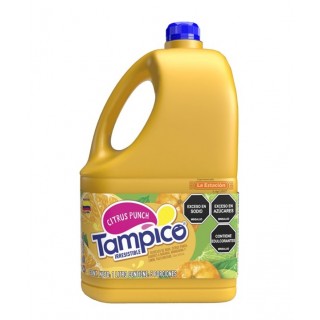 TAMPICO POTE X 1 LITRO